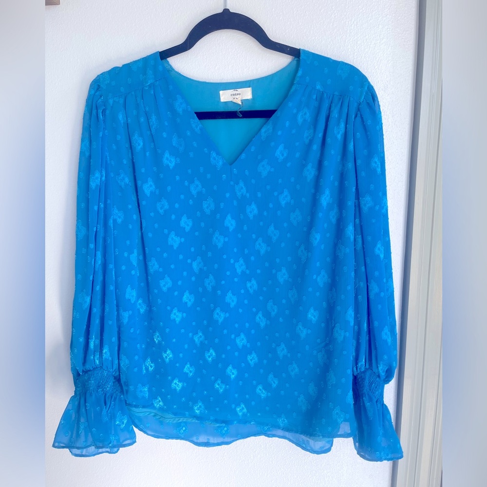 Blue blouse